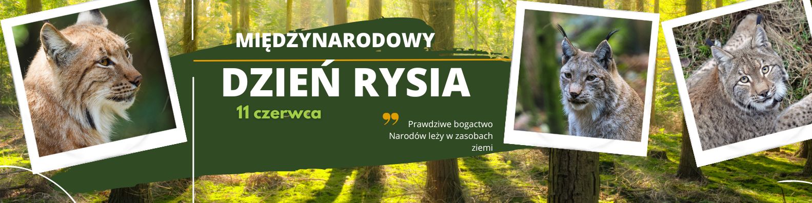 Dzikie piękno w niebezpieczeństwie